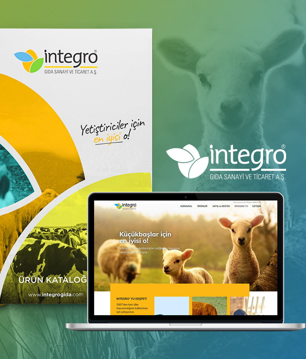 Integro Katalog ve Web Tasarımı